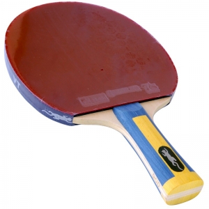 VT 900 Pro Line Table Tennis Bat